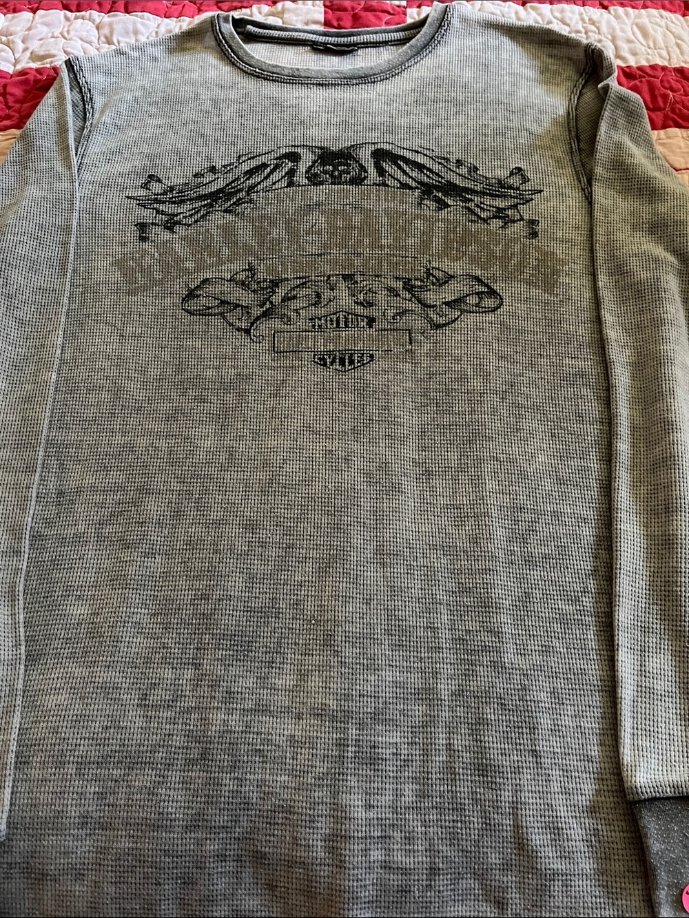 Harley-Davidson Gray Tee with Bronze Pig Trail Graphic